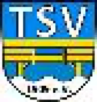 TSV Sulzbach/Laufen III III