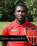 Falade Calixte Emmanuel A.